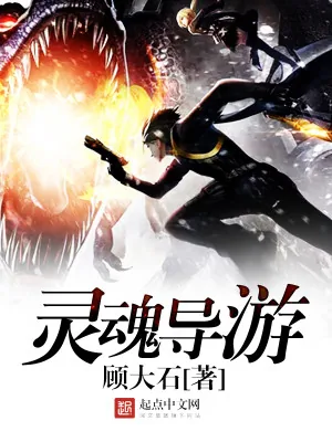 《灵魂导游》小说封面