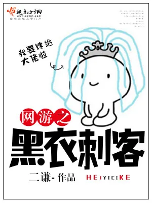 《网游之黑衣刺客》小说封面