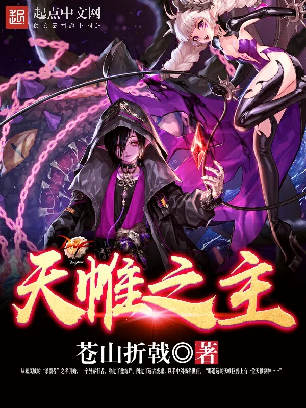 《天帷之主》小说封面