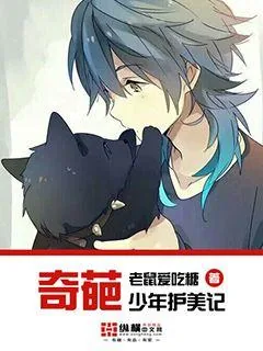 《奇葩少年护花记》小说封面