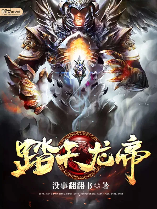《踏天龙帝》小说封面