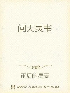 《问天灵书》小说封面