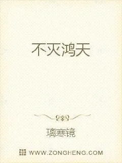 《不灭鸿天》小说封面