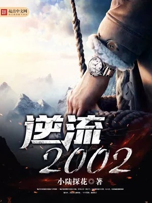 《逆流2002》小说封面