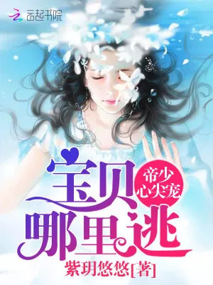 《帝少心尖宠：宝贝，哪里逃》小说封面