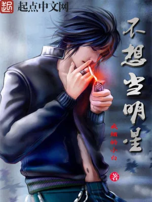 《明星孩子王》小说封面