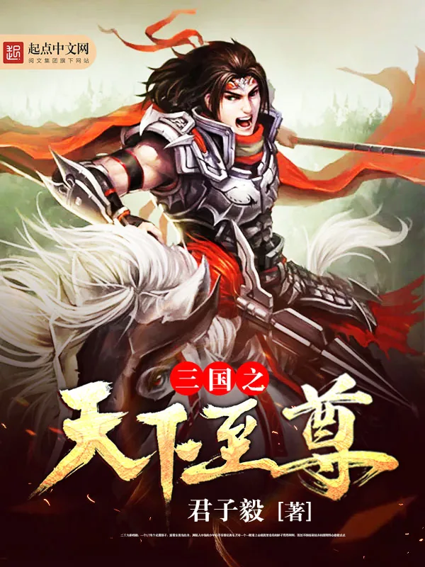 《三国之天下至尊》小说封面