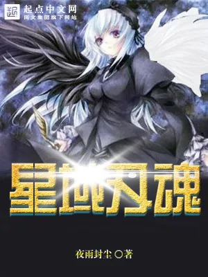 《星域刃魂》小说封面