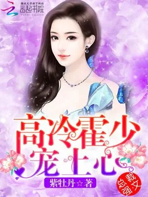 《高冷霍少，宠上心！》小说封面