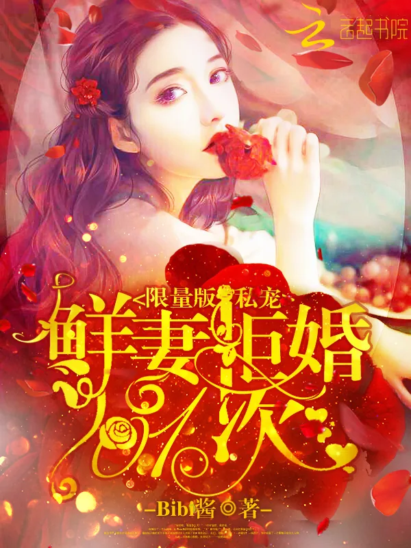 《限量版私宠：鲜妻拒婚101次》小说封面