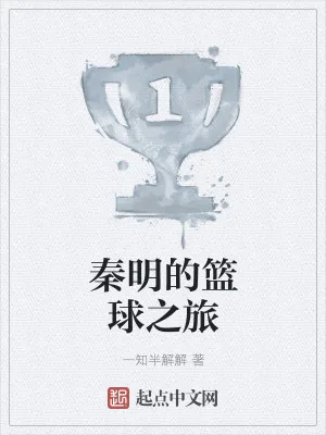 《秦明的篮球之旅》小说封面