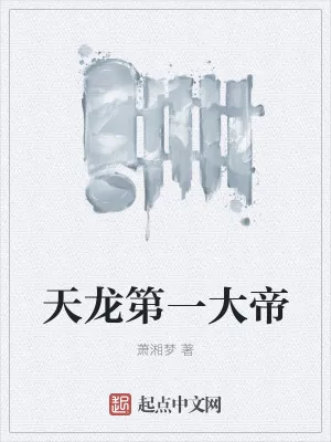 《天龙第一大帝》小说封面