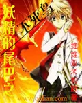 《妖精的尾巴之不死鸟》小说封面
