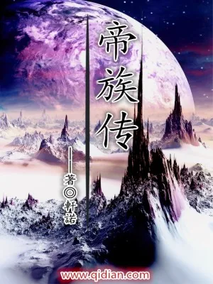 《帝族传》小说封面