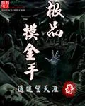 《极品摸金手》小说封面