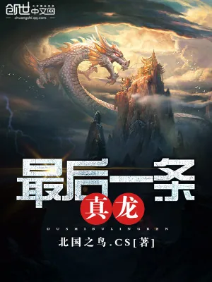 《最后一条真龙》小说封面