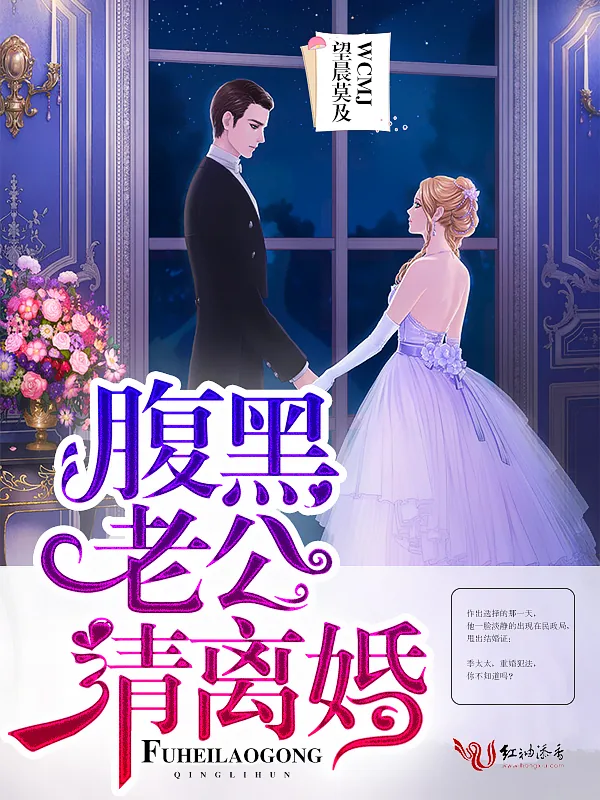 《腹黑老公,请离婚!》小说封面