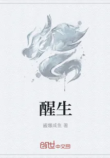 《醒生》小说封面