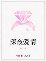 《深夜爱情》小说封面