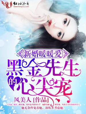 《新婚暖暖爱,黑金先生的心尖宠》小说封面