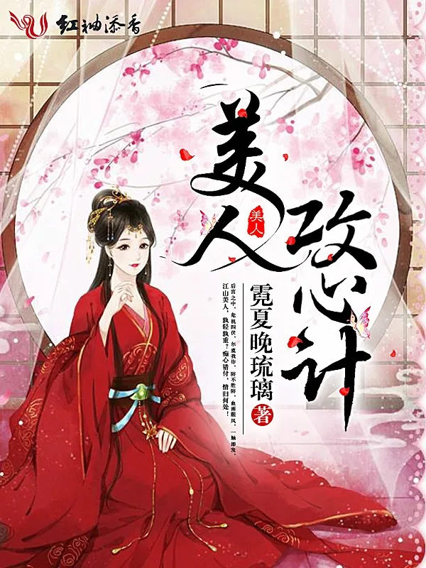 《美人攻心计》小说封面