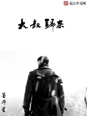 《大叔归来》小说封面
