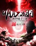 《明月不夜羽》小说封面