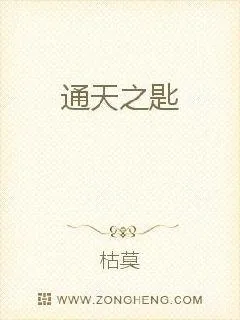 《通天之匙》小说封面