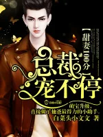 《甜妻100分：总裁，宠不停！》小说封面