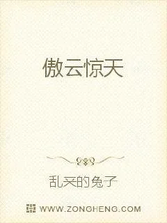 《傲云惊天》小说封面
