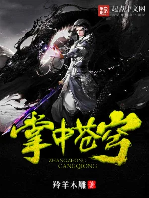 《掌中苍穹》小说封面
