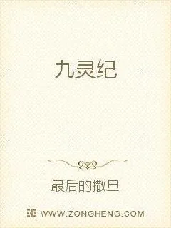 《九灵纪》小说封面