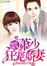 《暖婚蜜宠：萧少狂宠娇妻》小说封面