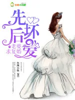 《先坏后爱:老婆,求复婚!》小说封面