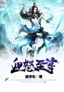 《血怒至尊》小说封面