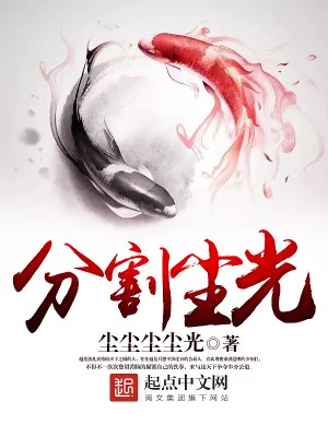 《分割尘光》小说封面