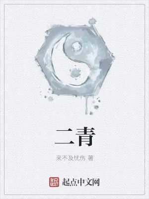 《二青》小说封面