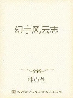 《幻宇风云志》小说封面