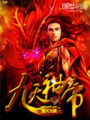 《九天神帝》小说封面