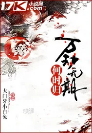 《万劫无期何时归》小说封面