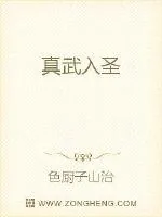 《真武入圣》小说封面