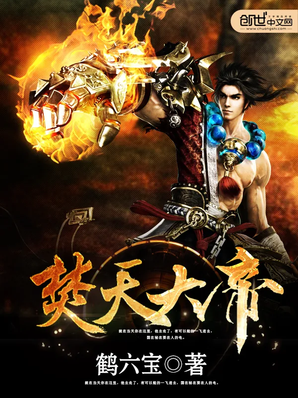 《焚天大帝》小说封面