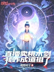 《直播卖桃木剑,我咋成道祖了?》小说封面