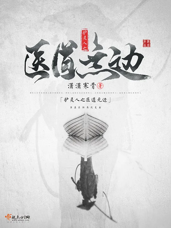 《护灵人之医道无边》小说封面