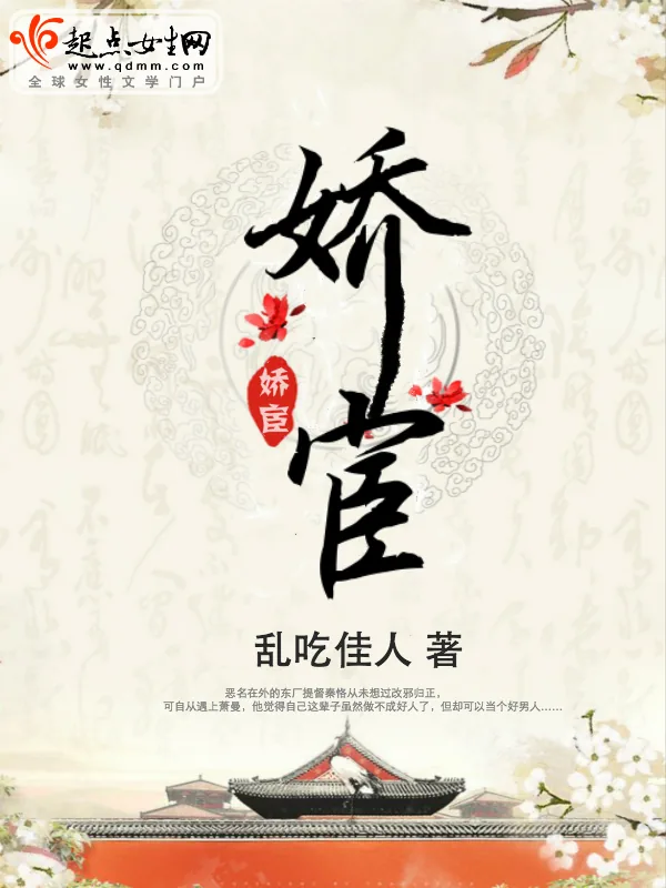 《娇宦》小说封面