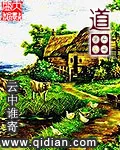 《道田》小说封面
