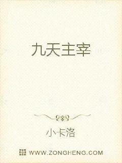 《九天主宰》小说封面
