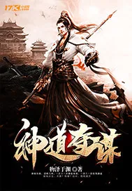 《神道夺谋》小说封面