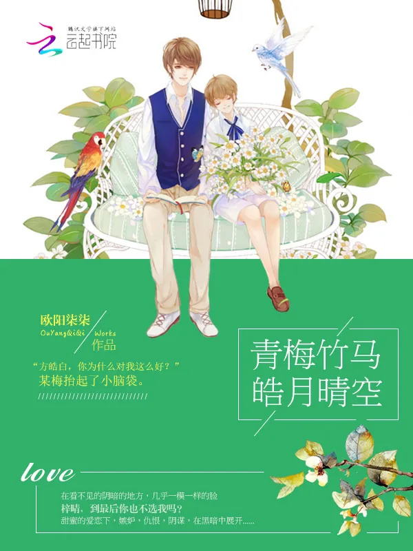 《青梅竹马皓月晴空》小说封面