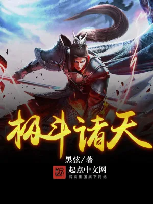 《极斗诸天》小说封面